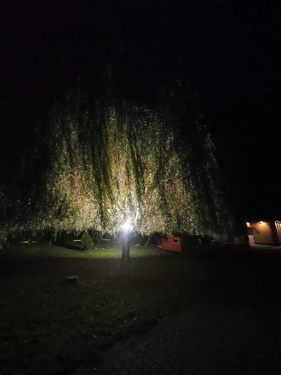 AnyConv.com__20211006_220731_Easy-Resize.com